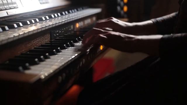 Песочные сказки в Государственном Дарвиновском музее смотреть онлайн