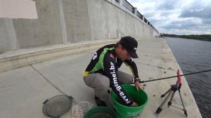 Школа фидера Рыбалка на набережной реки Сож. г.Гомель