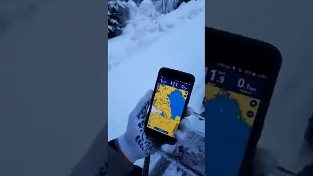Moto dog смотреть онлайн