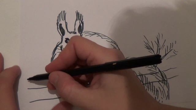 Рисуем животных. Как нарисовать белку. How to Draw a squirrel смотреть онлайн