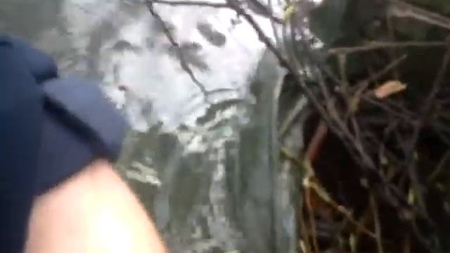 плот смерти смотреть онлайн