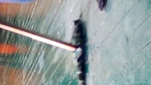 Белый моет пол