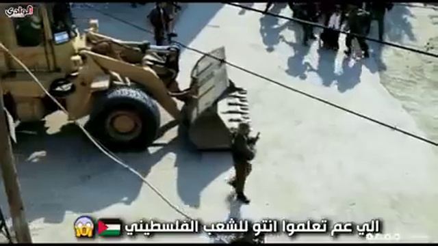 Hama tarata смотреть онлайн