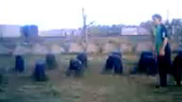 Поркур смотреть онлайн