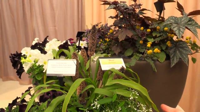 2014 Spring Trials: PanAmerican Seed смотреть онлайн