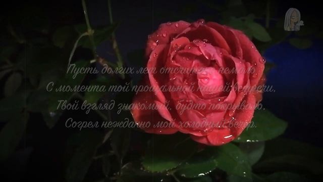 Omi // Незнакомка смотреть онлайн