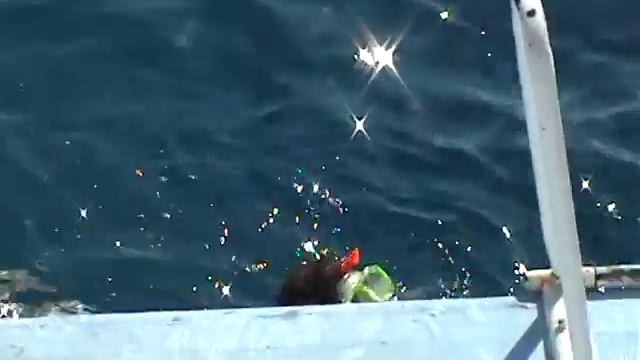 Красное море смотреть онлайн