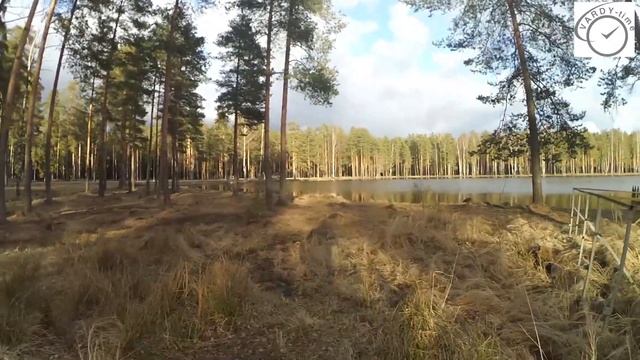 Прогулка Атоса, Портоса, Арамиса и Бультерьяна ??? смотреть онлайн