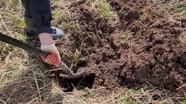 Металлокоп. Второй день майских праздников. смотреть онлайн