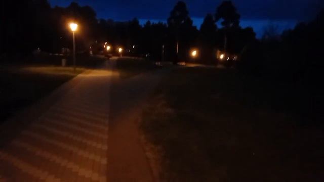 Ирл встреча с ВАРЛОКОМ. Идем в КФС и плавать на Озеро с БОЧКОЙ ПИВАСА. ФУЛ ВИДЕО смотреть онлайн