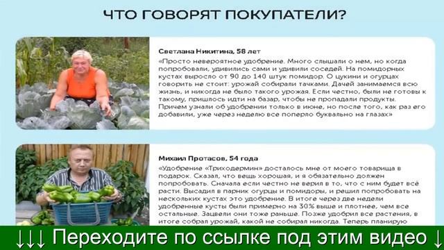 Триходермин Инструкция смотреть онлайн