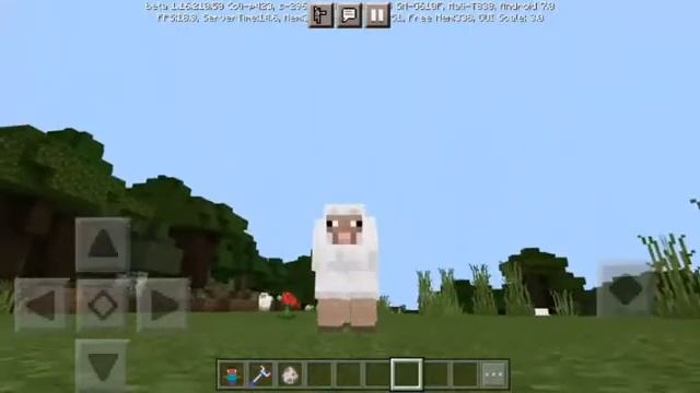 MİNECRAFT PE MORPH MOD 1.16