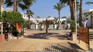 Обзор отеля Iberotel Palace 5*/ отель для взрослых с песчаным заходом в Египте (Шарм–эль-Шейх)