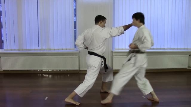Heian Shodan - Shotokan Kata Bunkai смотреть онлайн