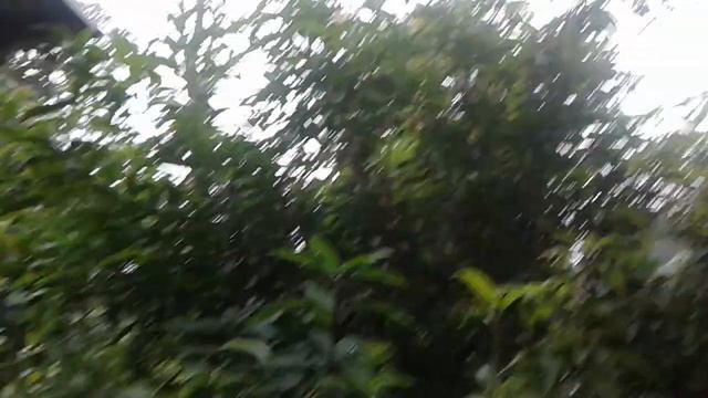 nature of mizoram смотреть онлайн