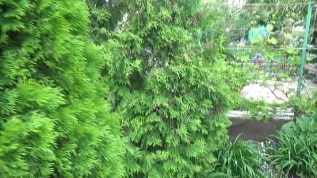 Дача. Обзор. В гостях у родителей мужа. смотреть онлайн