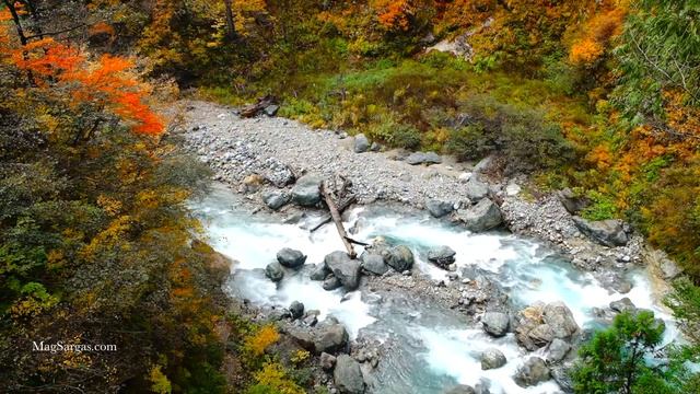 Виды Магии - Не Загоняйте Себя в Рамки! - Маг Sargas смотреть онлайн