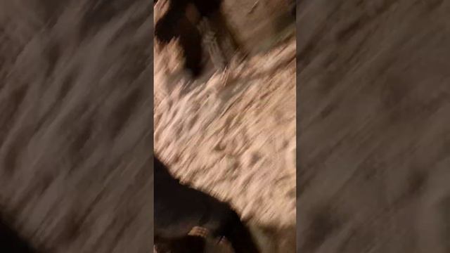пожар в Одинцово, в подземном гараже смотреть онлайн