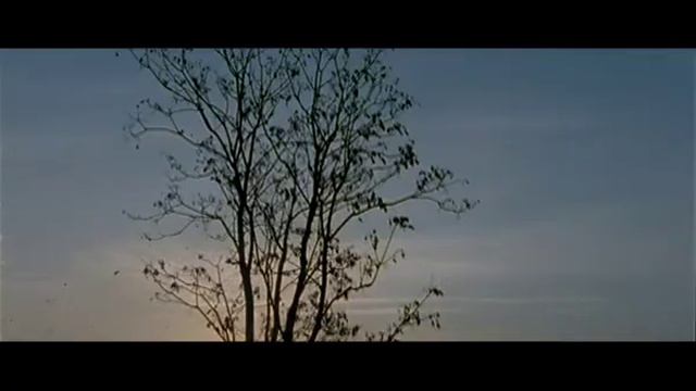 RED CROSS - We are (dc) смотреть онлайн