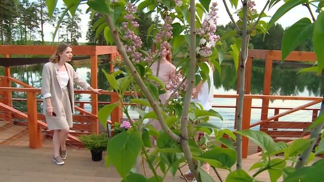 Садовый ландшафтный дизайн/ Эко-стиль в ландшафтном дизайне/Тренды в ландшафтном дизайне смотреть онлайн