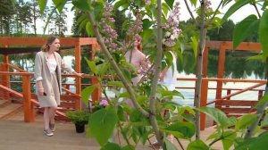 Садовый ландшафтный дизайн/ Эко-стиль в ландшафтном дизайне/Тренды в ландшафтном дизайне