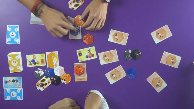 Kitty Paw - Reseña y Partida Juego de Mesa - Preparación y cómo se juega смотреть онлайн