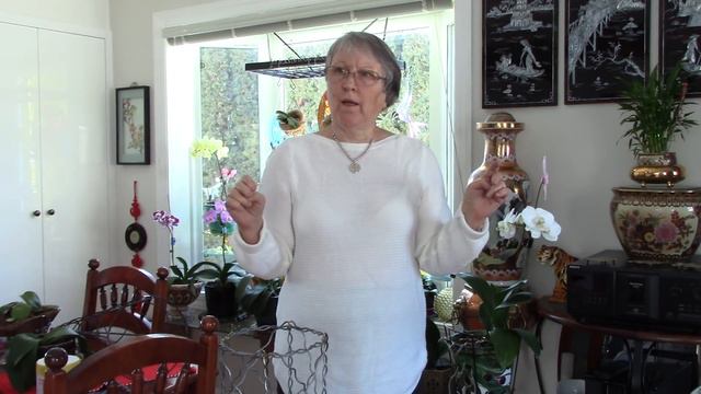 Phalaenopsis DIY Pot and two sad orchid to discuss their TLC смотреть онлайн