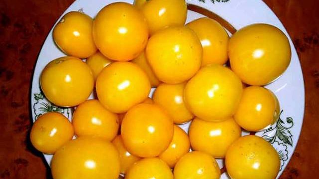 посадка семЯн помидоров смотреть онлайн