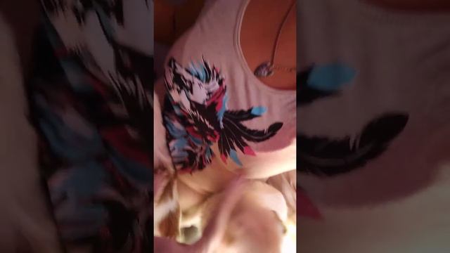 смешное видео к нашему Филиппу едет девочка чихуахуа Симферополь продажа щенков Крым Кастропуло смотреть онлайн