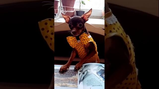 ?Для любителей рыбалки! смотреть онлайн