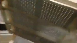 Пыльцесборник донный