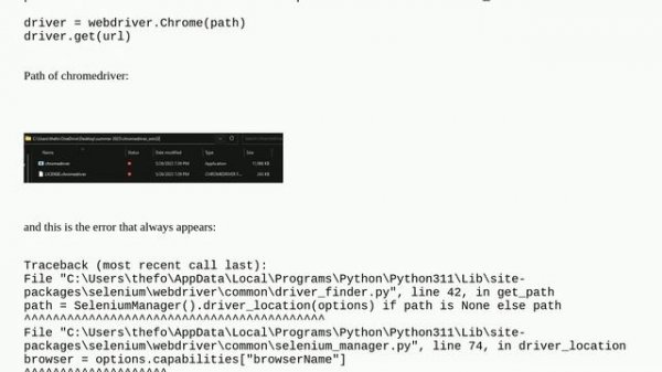 selenium.common.exceptions.NoSuchDriverException: Message: Unable to obtain chromedriver using Se..