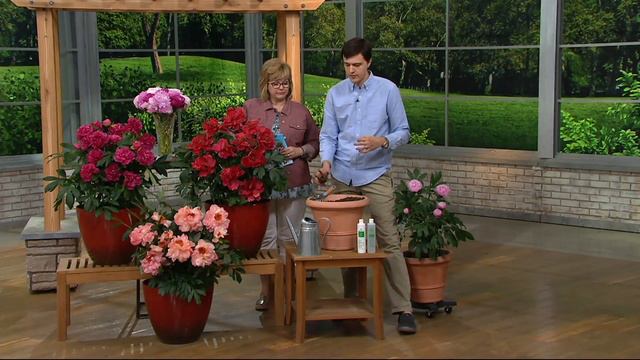 Roberta's 3-piece Perfume Princess Peony Collection on QVC смотреть онлайн