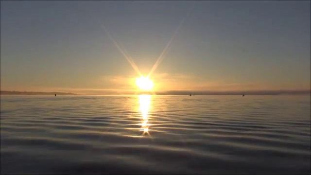 Кошкино 06 07 014 смотреть онлайн