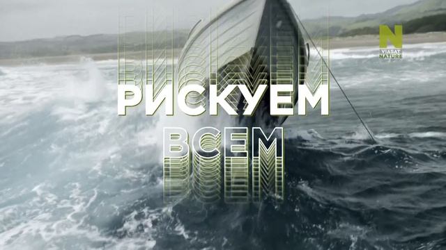 Меняем мир к лучшему с Viasat Nature смотреть онлайн