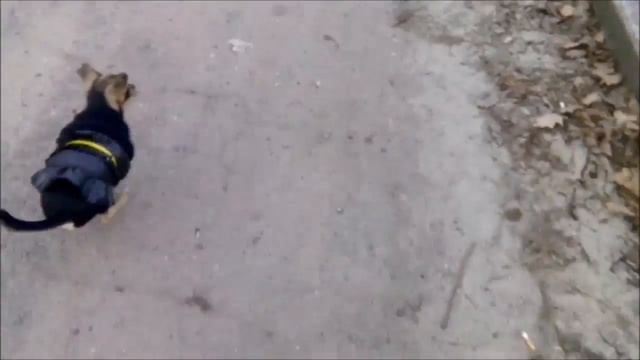 очень смешно смотреть онлайн