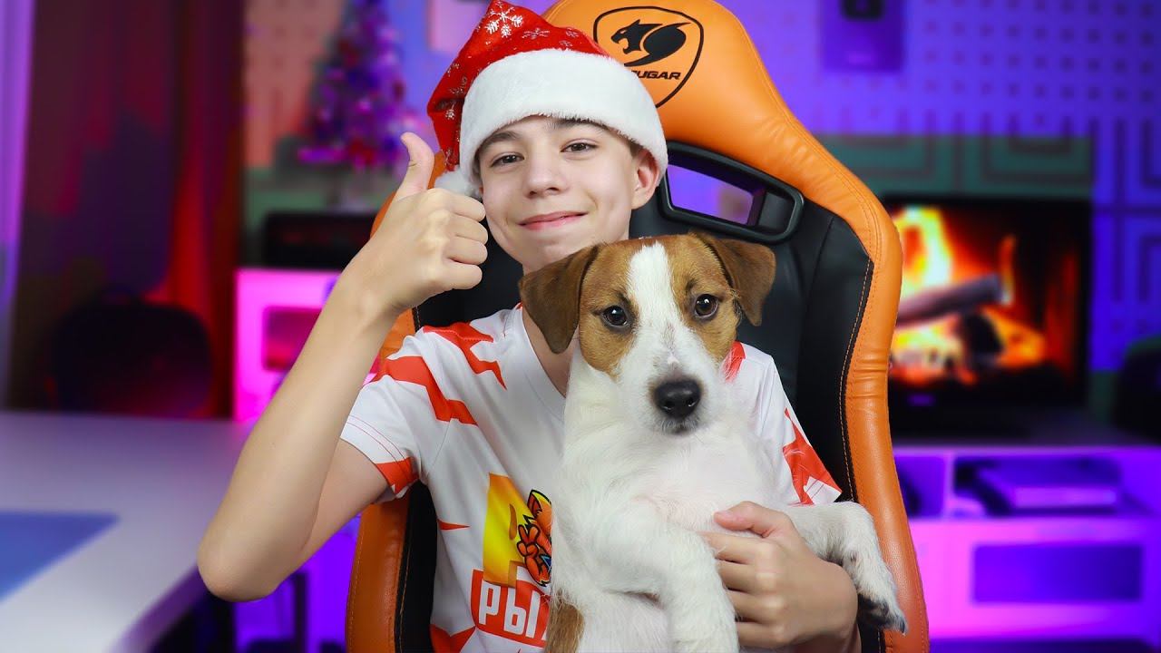 С НОВЫМ ГОДОМ!!! ➢ Поздравление от Рыжего Кота! смотреть онлайн