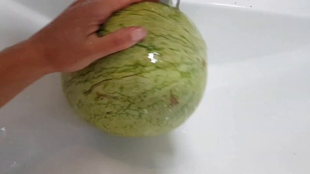 ? Arbuz nr.28 Rafinad 12.IX.2022r