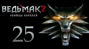 The Witcher 2 / Ведьмак 2 - Выбор сделан - Прохождение игры на русском [#25] | PC (2017 г.)