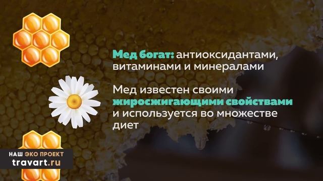 Лечебные свойства и полезные советы