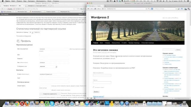Партнерский модуль плагина Гонорар для WordPress смотреть онлайн