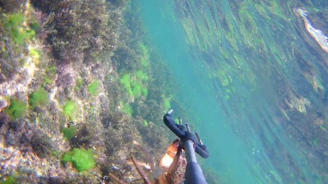 подводная охота.mp4 смотреть онлайн