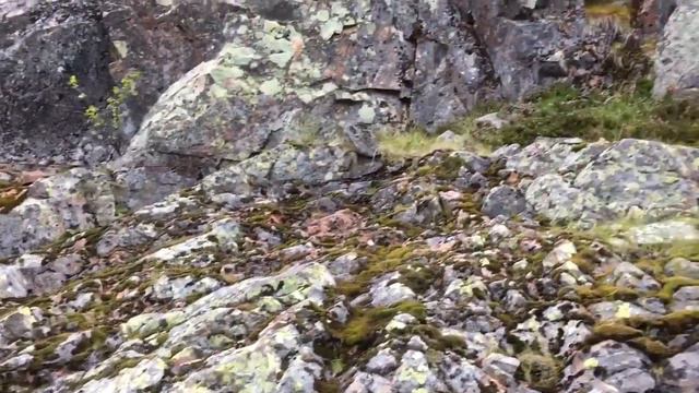 Кольский полуостров, река Пулонга, на гидросамолёте. смотреть онлайн