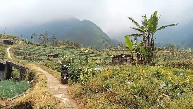 Berjalan di sebuah pedesaan Indonesia || Jalan desa dengan Julukan Swis Van Java Indonesia смотреть онлайн