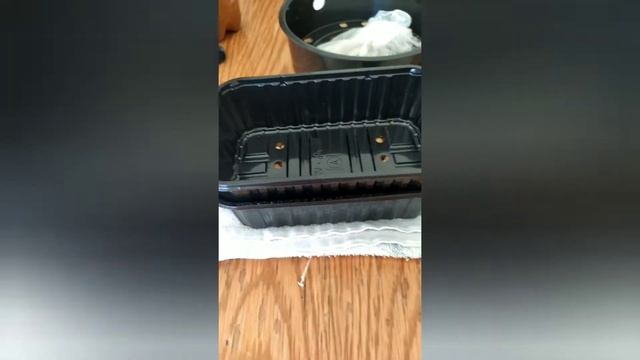 мЗеленьZ Сею и выращиваю горох "Усатый" смотреть онлайн