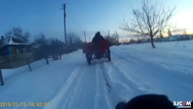 Покатушка на моторолєру муравєй