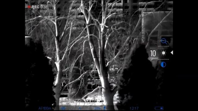 Обзор прицела тепловизор PULSAR TRAIL 2 XP50 LRF смотреть онлайн