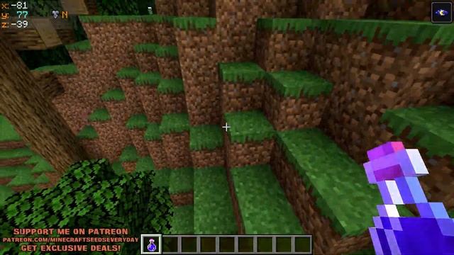 Minecraft Java 1.16.5 Seed: Double spider spawner and taiga village at spawn смотреть онлайн