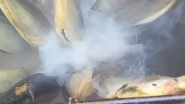 Второй первый опыт холодного копчения скумбрии смотреть онлайн