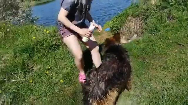 Помывка Дукса смотреть онлайн